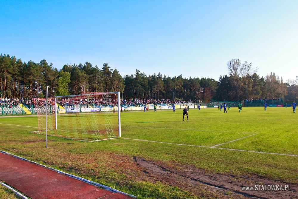 Stal Stalowa Wola - Olimpia Elbląg (2010-10-09)