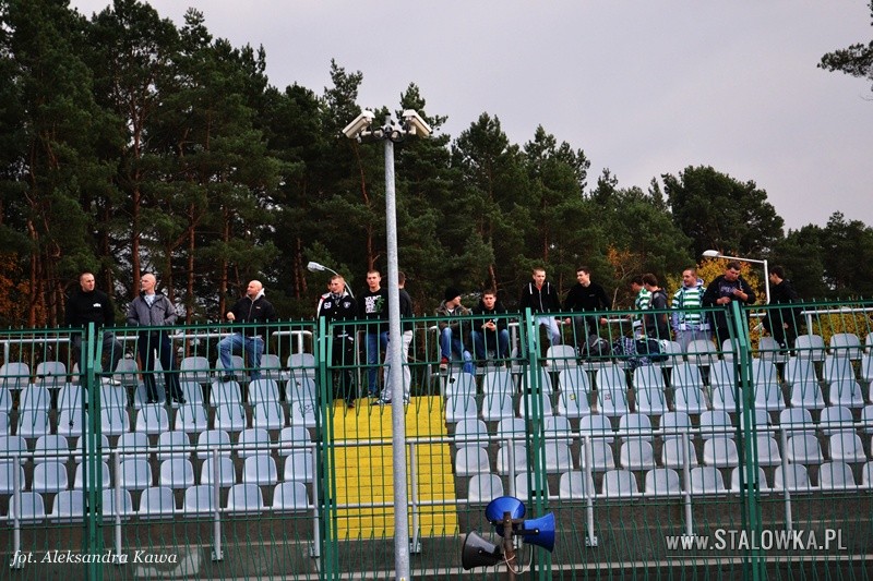 Stal Stalowa Wola - Okocimski Brzesko (2014-11-08)