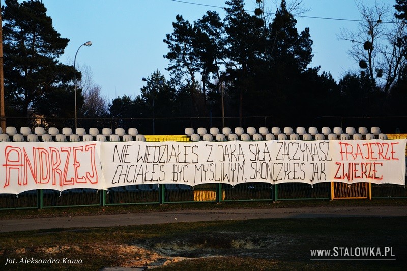 Stal Stalowa Wola - Raków Częstochowa (2014-11-29)