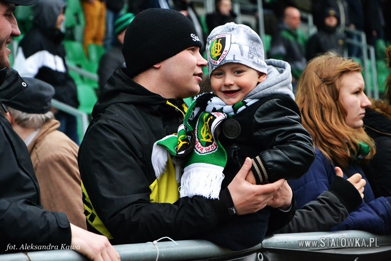 Stal Stalowa Wola - Energetyk ROW Rybnik  (2015-03-28)