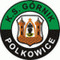 Górnik Polkowice